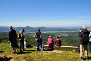 Bernbacher-Spaziergang am 4. Mai 2022